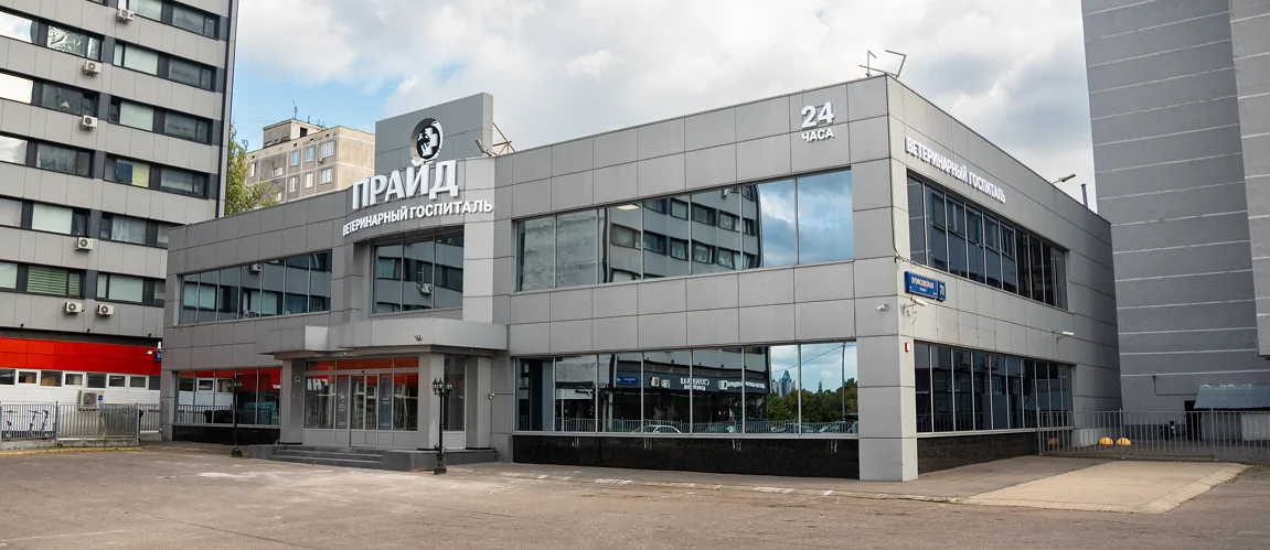 Ветеринарный врач Прайд